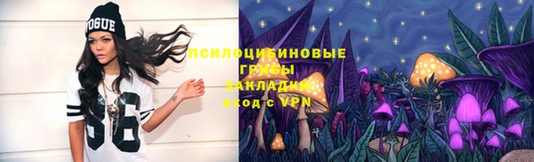 прущая мука Арсеньев