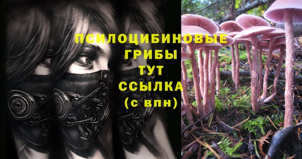 прущая мука Арсеньев