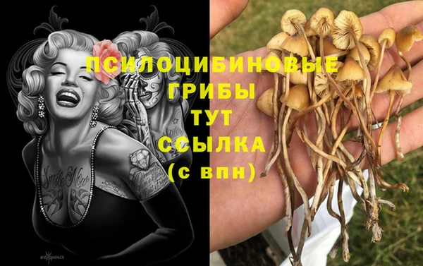 стаф Армянск