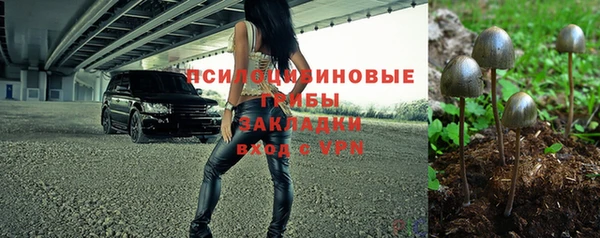 прущая мука Арсеньев