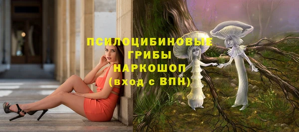 прущая мука Арсеньев