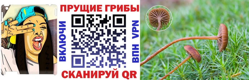 Галлюциногенные грибы MAGIC MUSHROOMS omg вход Кинель