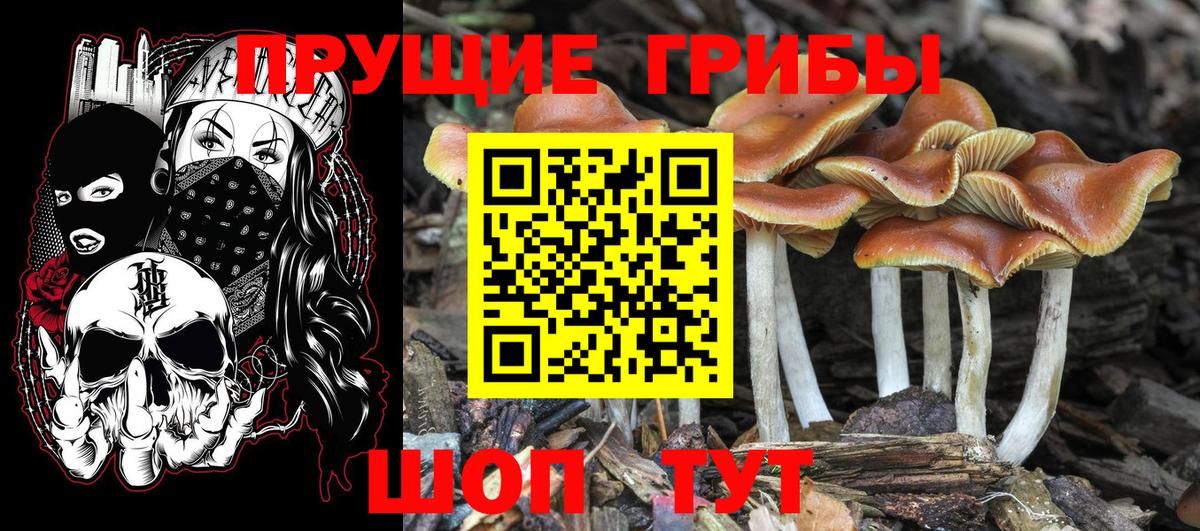 ГАШ  Бошки Шишки  Кинель  Кокаин  Вход с VPN  Меф МЯУ МЯУ  